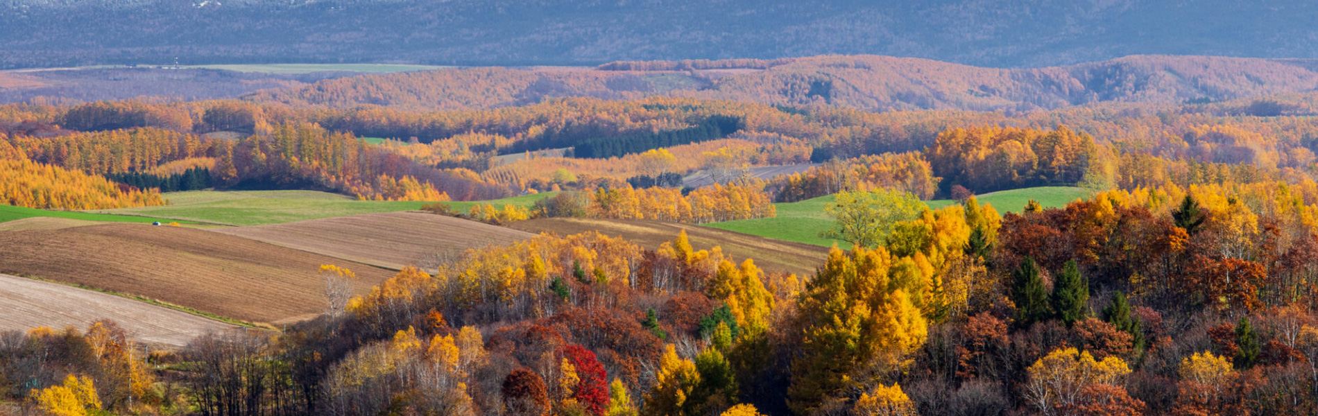 秋の北海道